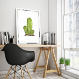 Obraz Kaktus na zrcadle Mirrora 68 - 60x40 cm