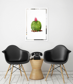Obraz Kaktus na zrcadle Mirrora 67 - 60x40 cm