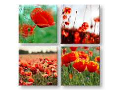 Obraz na stěnu Meadow of poppy poppies 4 dílný XOBKOL17E42